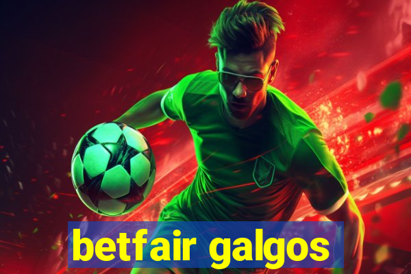 betfair galgos